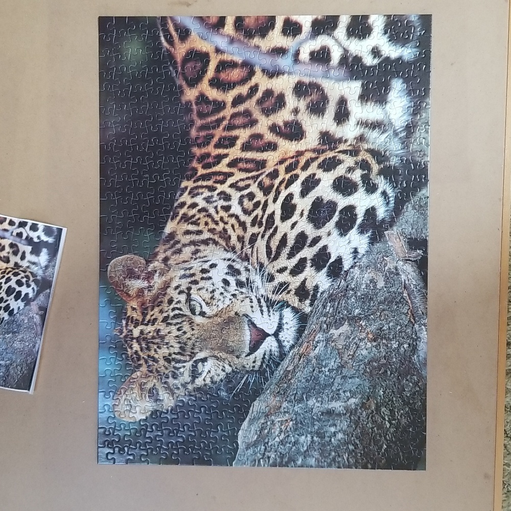 🧩500PC LEOPARD PUZZLE